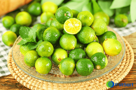 images/1676545012063Pequeño equipo de procesamiento de naranja verde1.png